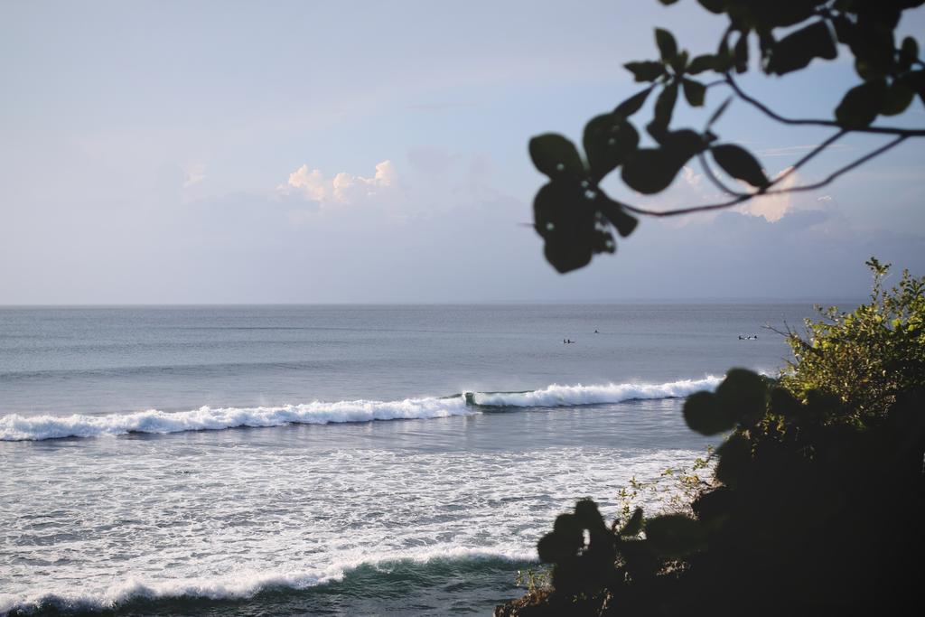 The Island Bingin